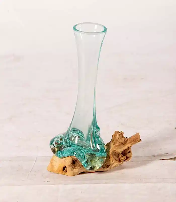 lepistes-akvaryum-L-1