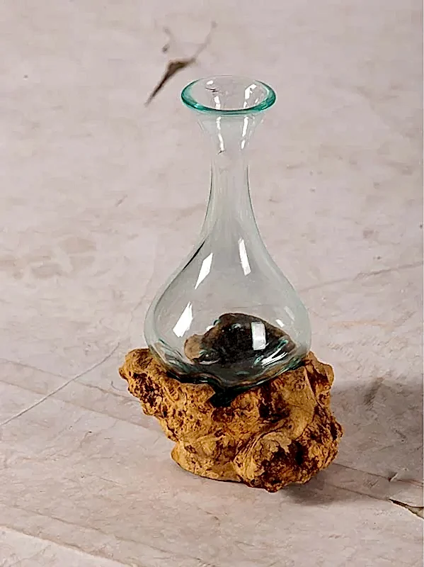 lepistes-akvaryum-s-1